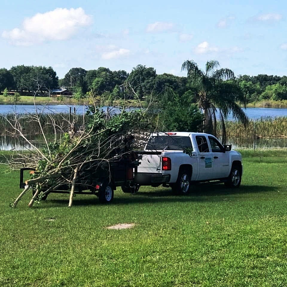 Work truck and trailer loaded with removed tree branches beside a Central Florida lake