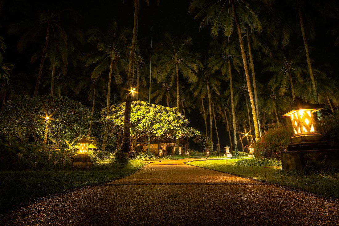 Palm trees and a garden path lit warmly at night